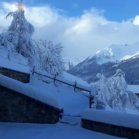 Ginepro Bormio